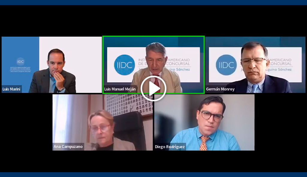 Webinar Crisis sistematicas info